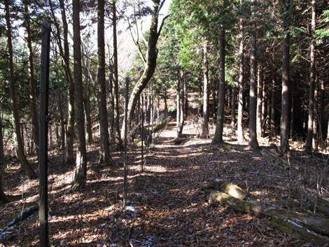 20161216hike (148)